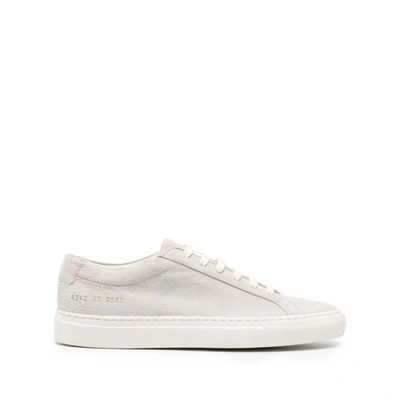 Common Projects Bball Low Sneakers 6096 In Grey