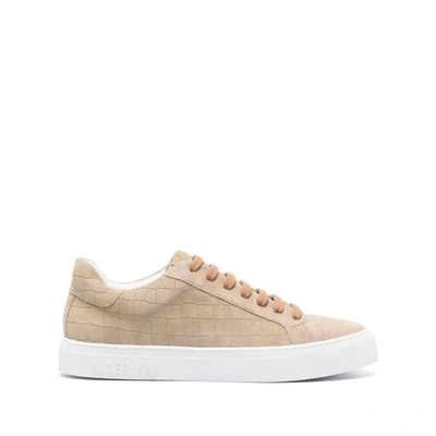 Hide & Jack Essence Suede Trainers In Brown