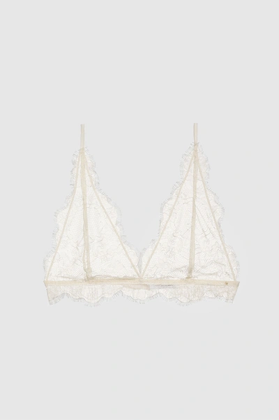 Anine Bing Delicate Lace Bra In Ivory