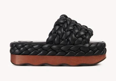 Chloé Sandals In Black