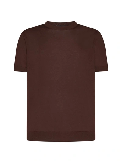 Tagliatore T-shirts And Polos In Brown