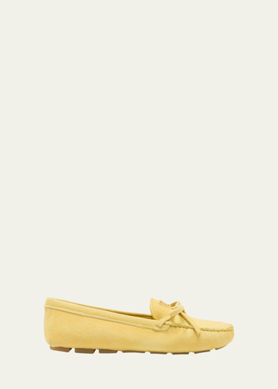 Prada Suede Bow Driver Loafers In Sole