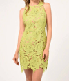 Shop Adelyn Rae Cassie 3d Crochet Mini Dress In Lime Green