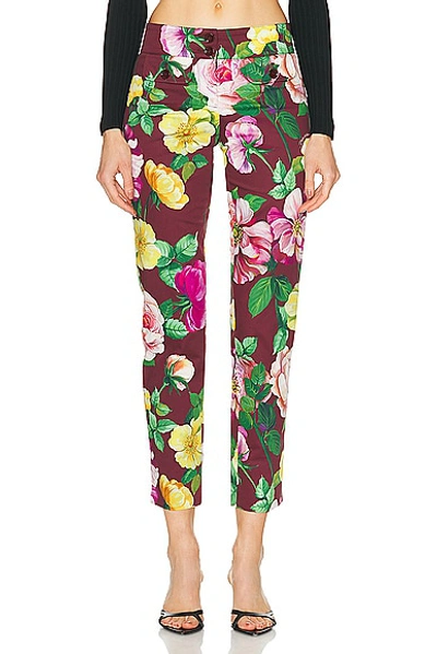 Dolce & Gabbana Floral Pant In Camelia