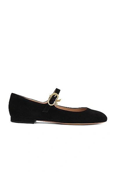 Gianvito Rossi Ribbon Suede Mary Jane Flats In Black