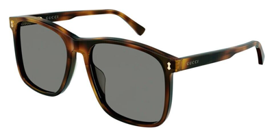 Pre-owned Gucci Original  Sunglasses Gg1041s 002 Havana Frame Gray Gradient Lens 57mm