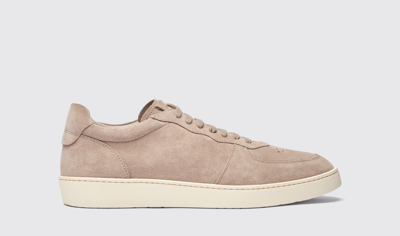 Scarosso Agostino Taupe Suede - Man Sneakers Taupe In Taupe - Suede