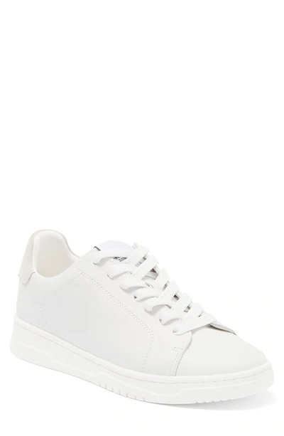 Steve Madden Elsin Sneaker In White Leather
