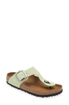 Birkenstock Gizeh Big Buckle Slide Sandal In Faded Lime