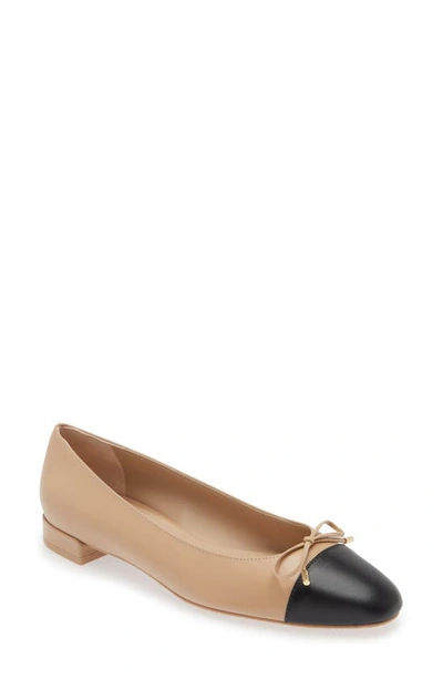 Stuart Weitzman Sleek Bicolor Bow Ballerina Flats In Adobe Black