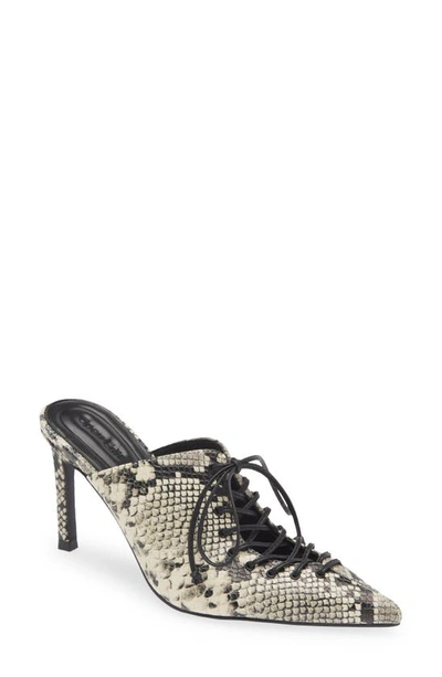 Open Edit Natalya Lace-up Pointed Toe Mule In Black-white Snake