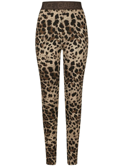 Dolce & Gabbana Leopard Print Trousers In Jacquard