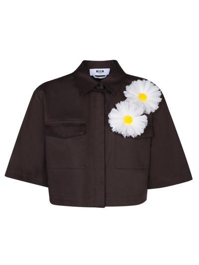 Msgm Floral Detailed Cropped Shirt In Brown