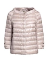 Herno Woman Down Jacket Light Brown Size 2 Polyamide, Cotton, Acetate In Beige