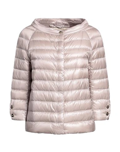 Herno Woman Down Jacket Light Brown Size 2 Polyamide, Cotton, Acetate In Beige