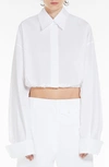 Sportmax Buttoned Long-sleeved Cropped Shirt In Optical White