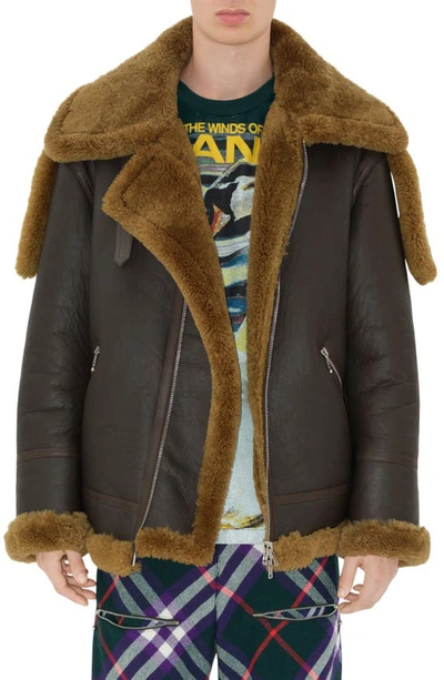Burberry Shearling Aviator Jacket In Brown