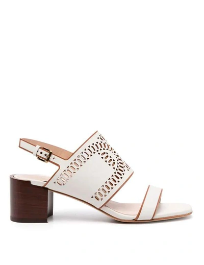 Tod's Heeled Sandals  Woman Colour White