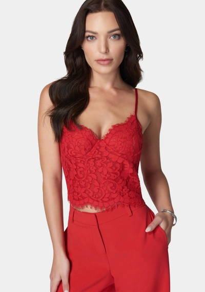 Bebe Scallop Trim Detail Lace Bustier Top In Salsa