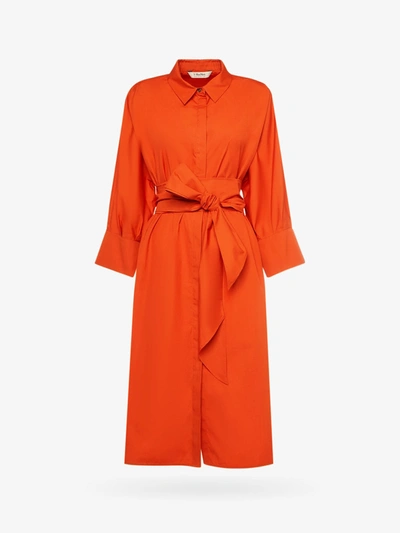 's Max Mara Tabata Poplin Belted Midi Shirt Dress In Orange