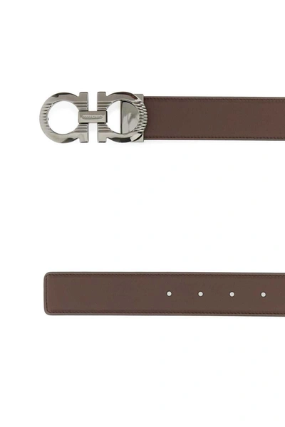 Ferragamo Salvatore  Belt In Brown