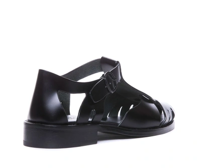 Hereu Sandals In Black