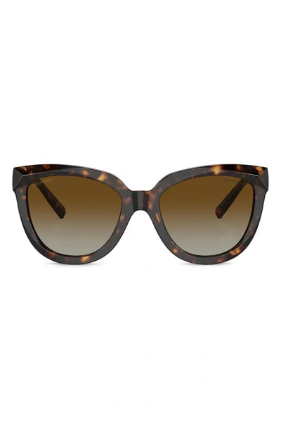 Tiffany & Co 53mm Gradient Polarized Cat Eye Sunglasses In Havana