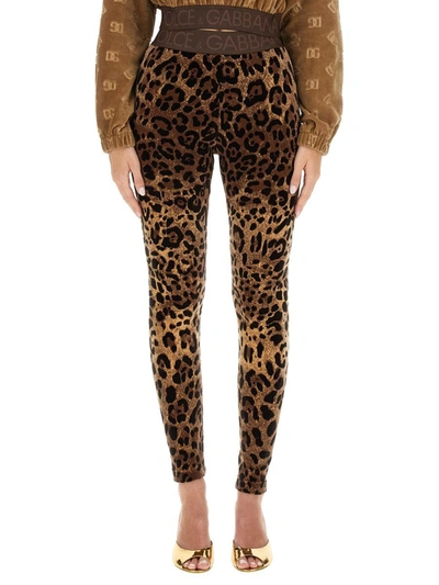 Dolce & Gabbana High Waist Leopard Print Cotton Blend Leggings