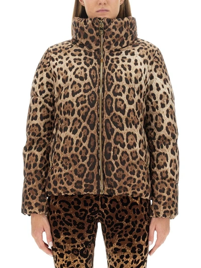 Dolce & Gabbana Leopard Print Padded Jacket In Multicolour