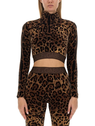 Dolce & Gabbana Leopard-print High-neck Blouse