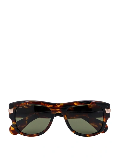 Gucci Acetate Sunglasses In Neutral