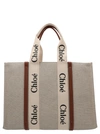 Chloé Woody Medium Tote Bag Multicolor