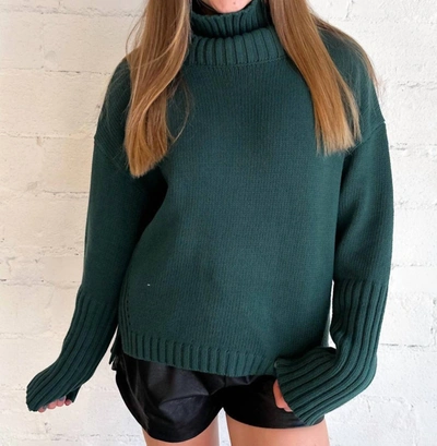 Olivaceous Alpine Forest Sweater In Green