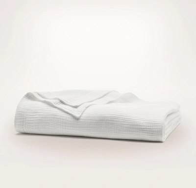 Boll & Branch Organic Dream Bed Blanket In White