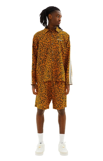 Palm Angels Cheetah Track Shirt In Orange/black
