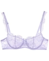 Journelle Isabel Balconette Bra In Blue