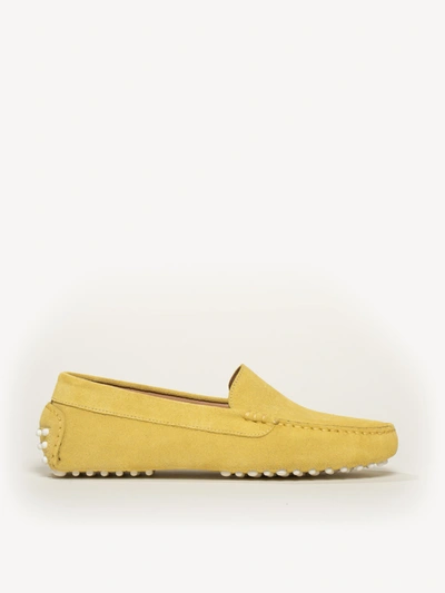 M. Gemi The Felize Suede In Pale Yellow