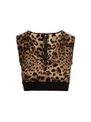 Dolce & Gabbana Brown Animal Print Cropped Top