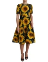 Dolce & Gabbana Black Sunflower Print Nylon A-line Midi Dress In Black