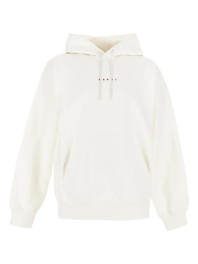 Marni Cotton Hoodie In White