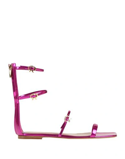 Gianvito Rossi Woman Sandals Fuchsia Size 6.5 Leather In Pink