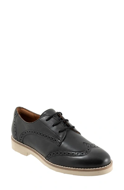 SOFTWALK SOFTWALK® WILLET WINGTIP DERBY