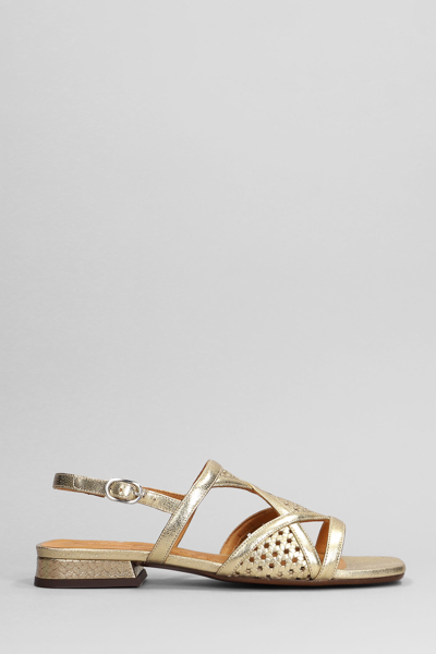 CHIE MIHARA TASSI FLATS IN GOLD LEATHER