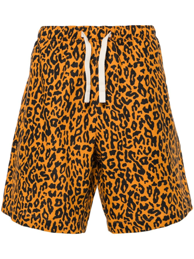 Palm Angels Leopard-print Poplin Shorts In Orange