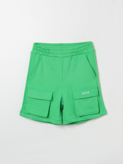 Msgm Shorts  Kids Kids Color Green In Green