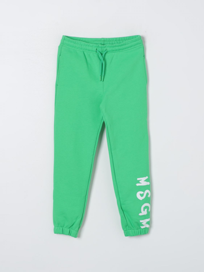 Msgm Pants  Kids Kids Color Green