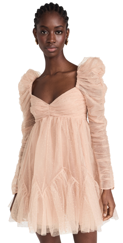 Zimmermann Tulle Ruched Mini Dress Nude/gold Dot In Pink