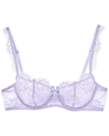 Journelle Isabel Balconette Bra