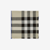 Burberry Check Cashmere Silk Scarf In Lichen