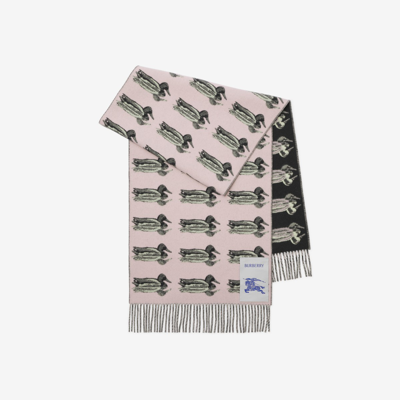 Burberry Duck Wool Cashmere Scarf In Pink